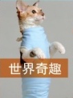 世界奇趣